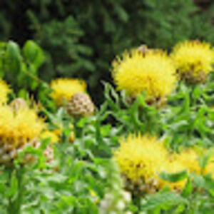 Meet your Posher, Destinee